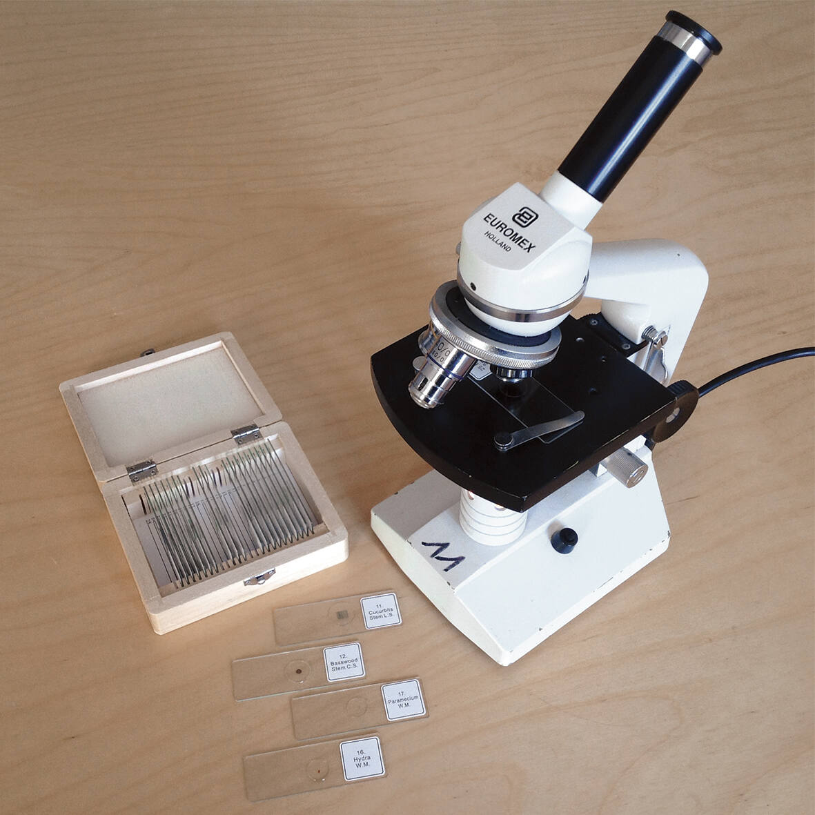48 Lames De Microscope Préparées Pour Enfants – Plantes, Animaux, Légumes, Fruits – 4 Boîtes Classées